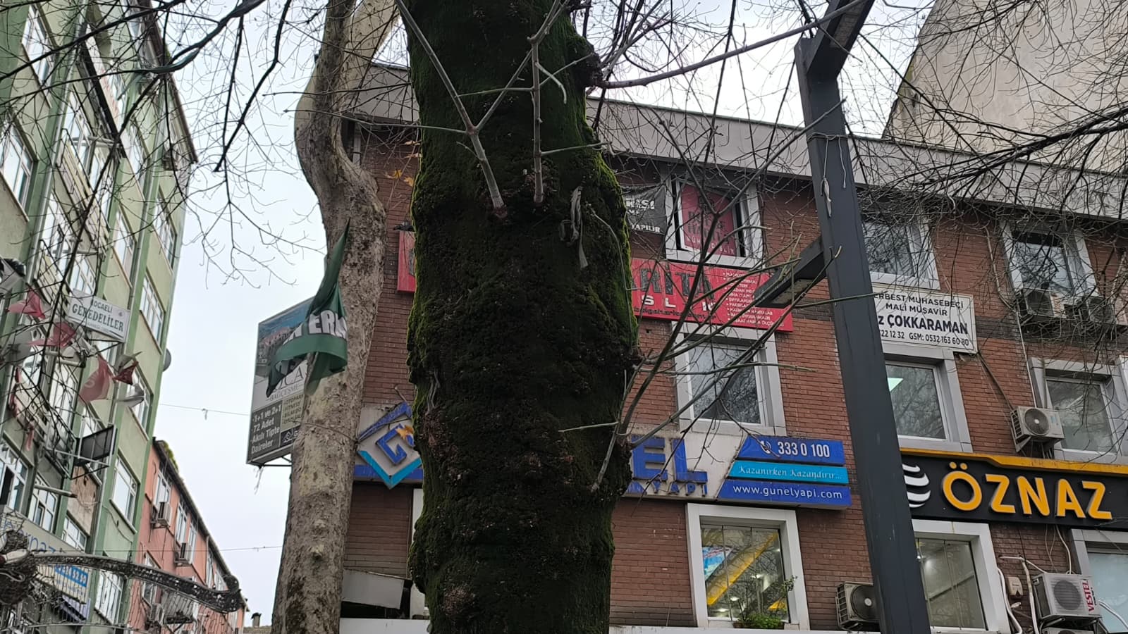 Whatsapp Image 2026 01 09 At 16.16.30 (3)