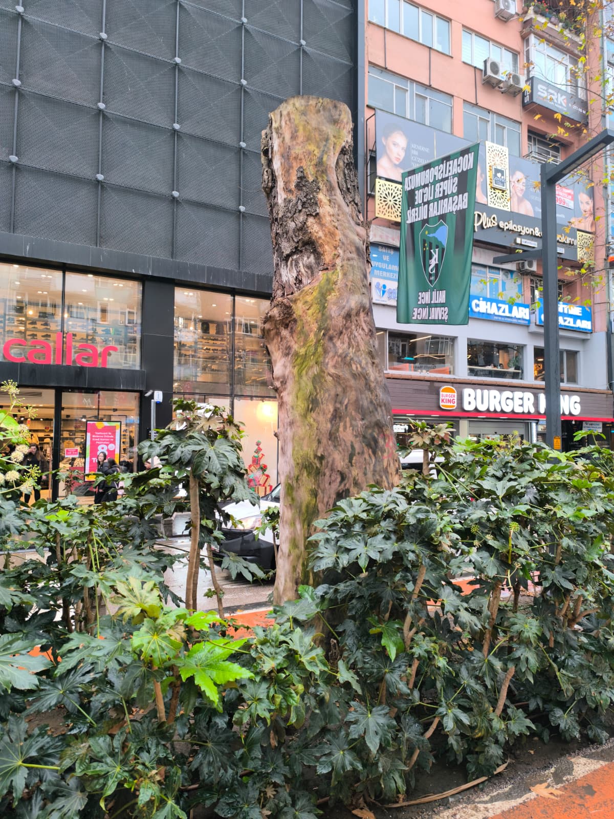 Whatsapp Image 2026 01 09 At 16.16.39 (1)