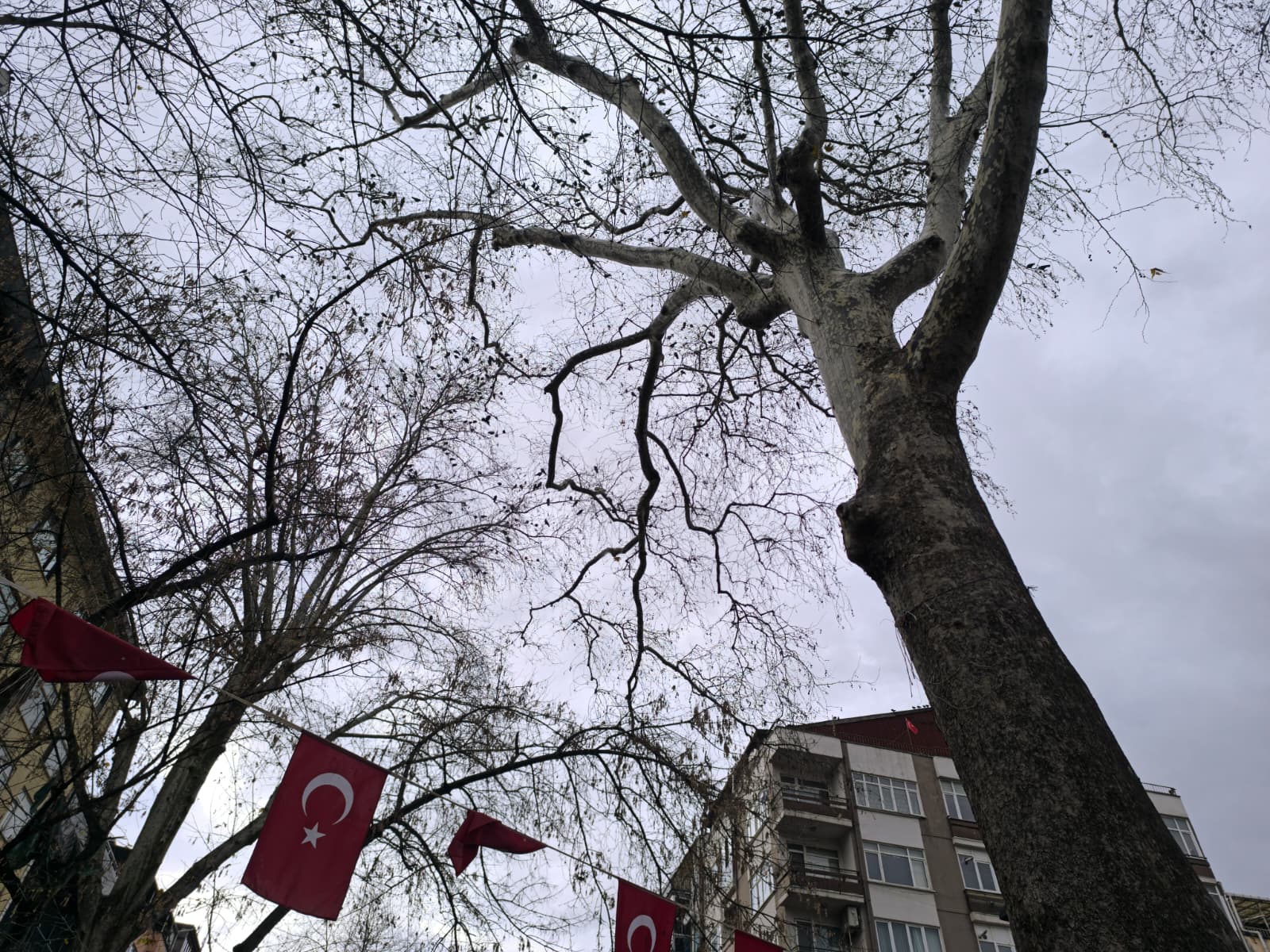 Whatsapp Image 2026 01 09 At 16.16.50 (1)