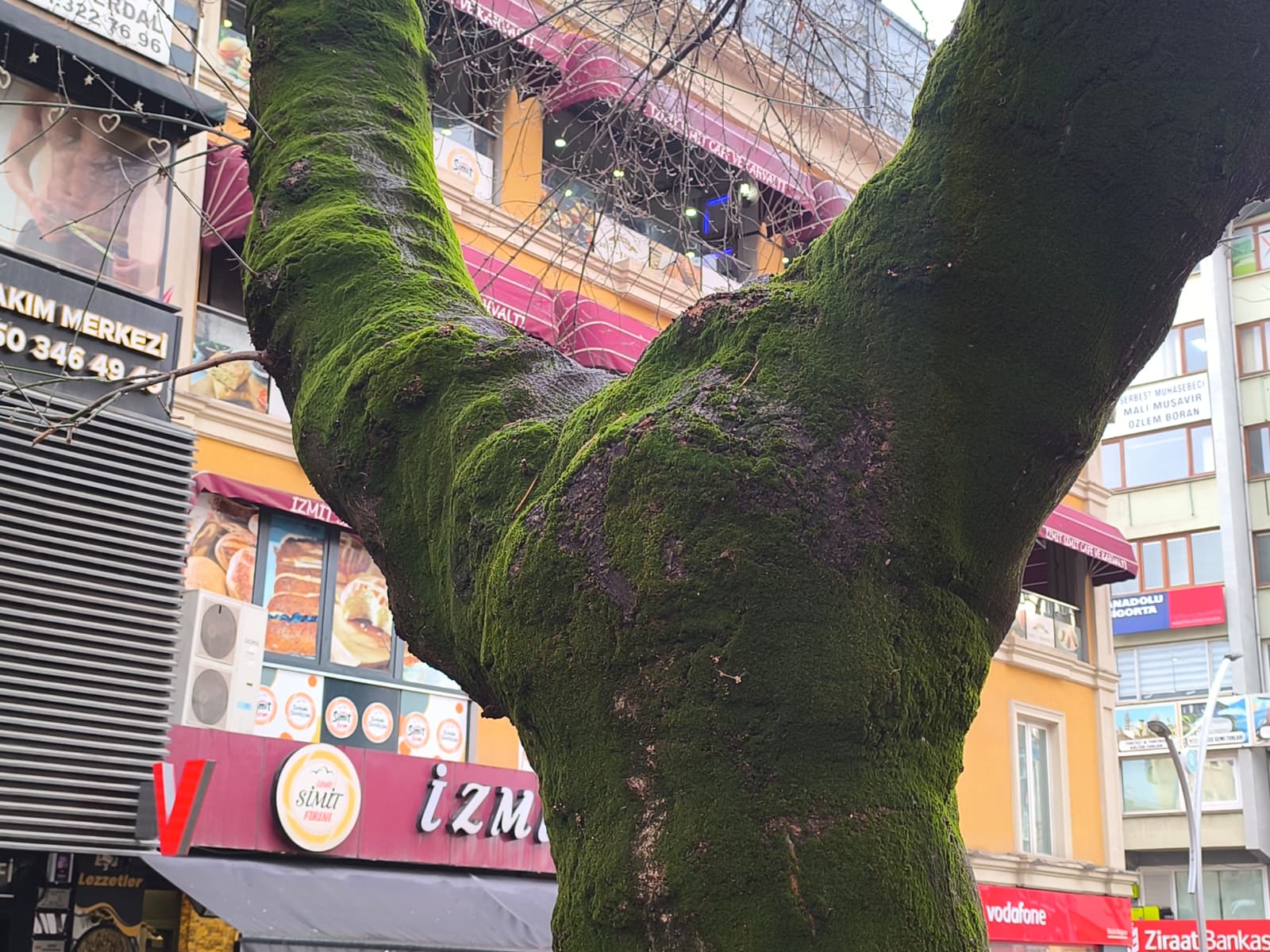 Whatsapp Image 2026 01 09 At 16.16.51 (2)