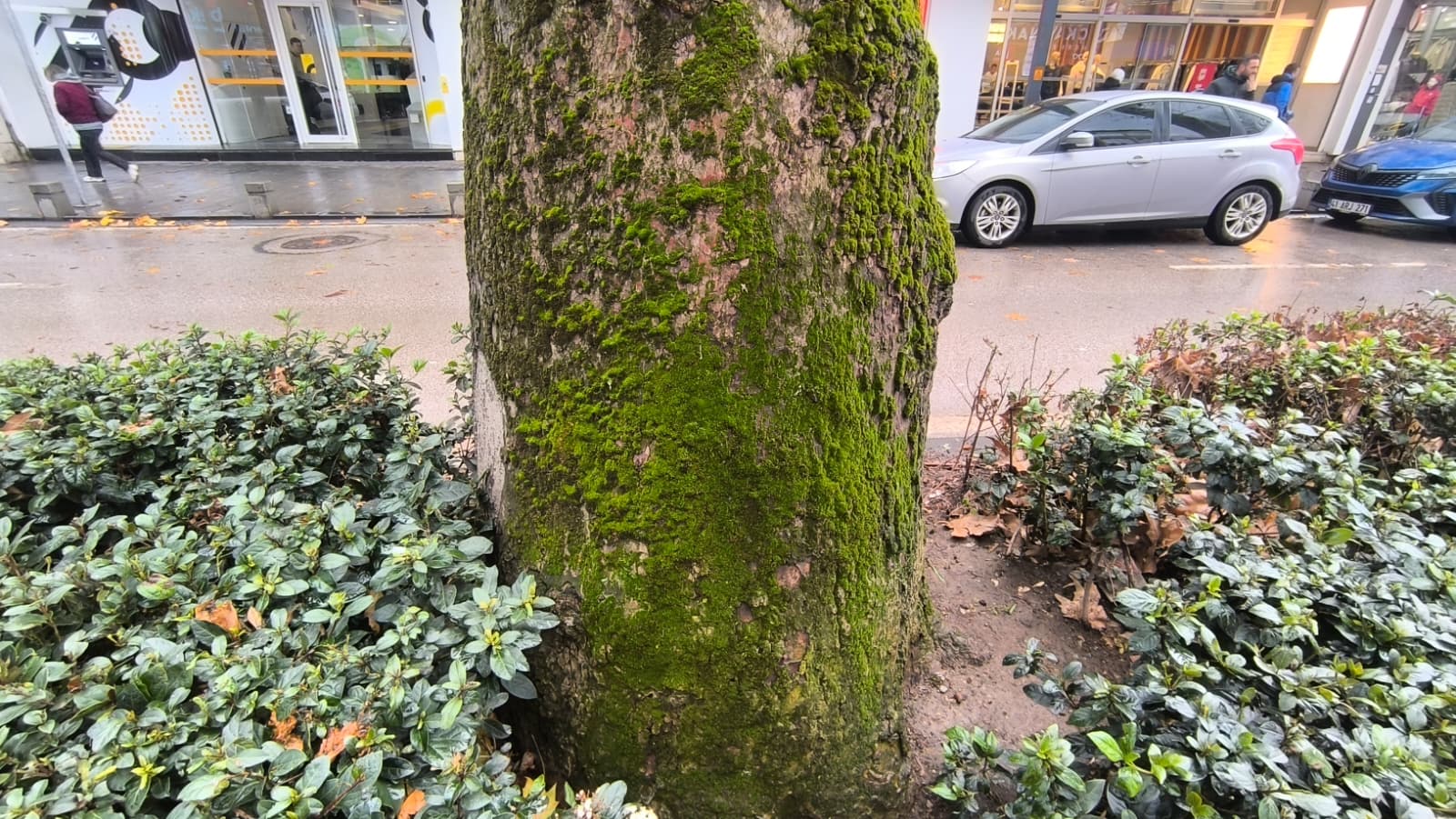 Whatsapp Image 2026 01 09 At 16.17.14 (3)