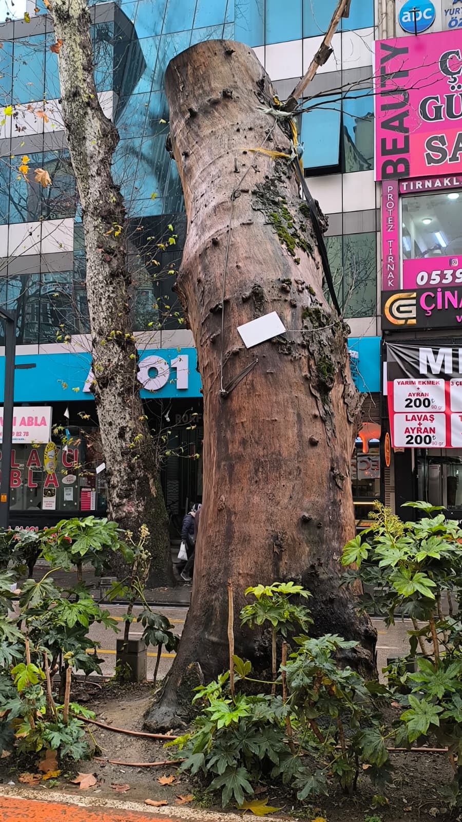 Whatsapp Image 2026 01 09 At 16.17.19 (1)