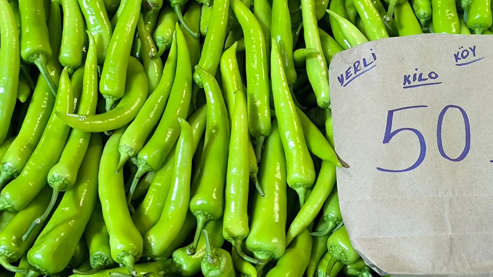 Whatsapp Image 2026 01 10 At 11.20.09