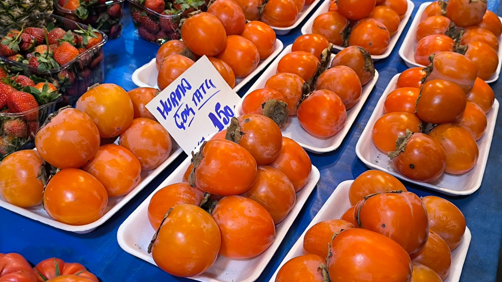 Whatsapp Image 2026 01 10 At 11.20.38 (2)