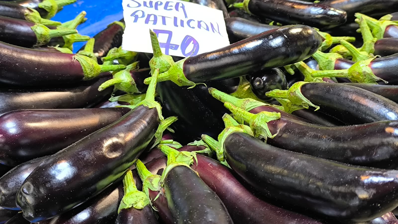 Whatsapp Image 2026 01 10 At 11.20.43