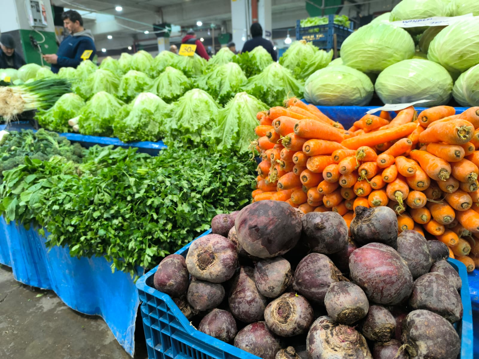 Whatsapp Image 2026 01 10 At 11.20.44