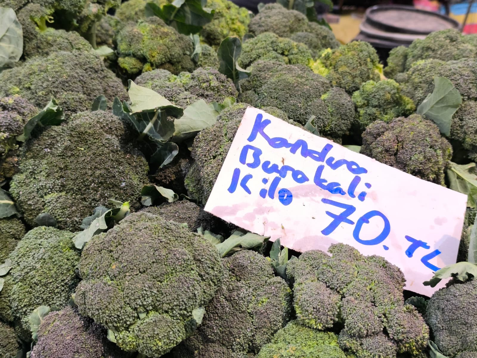 Whatsapp Image 2026 01 10 At 11.20.45