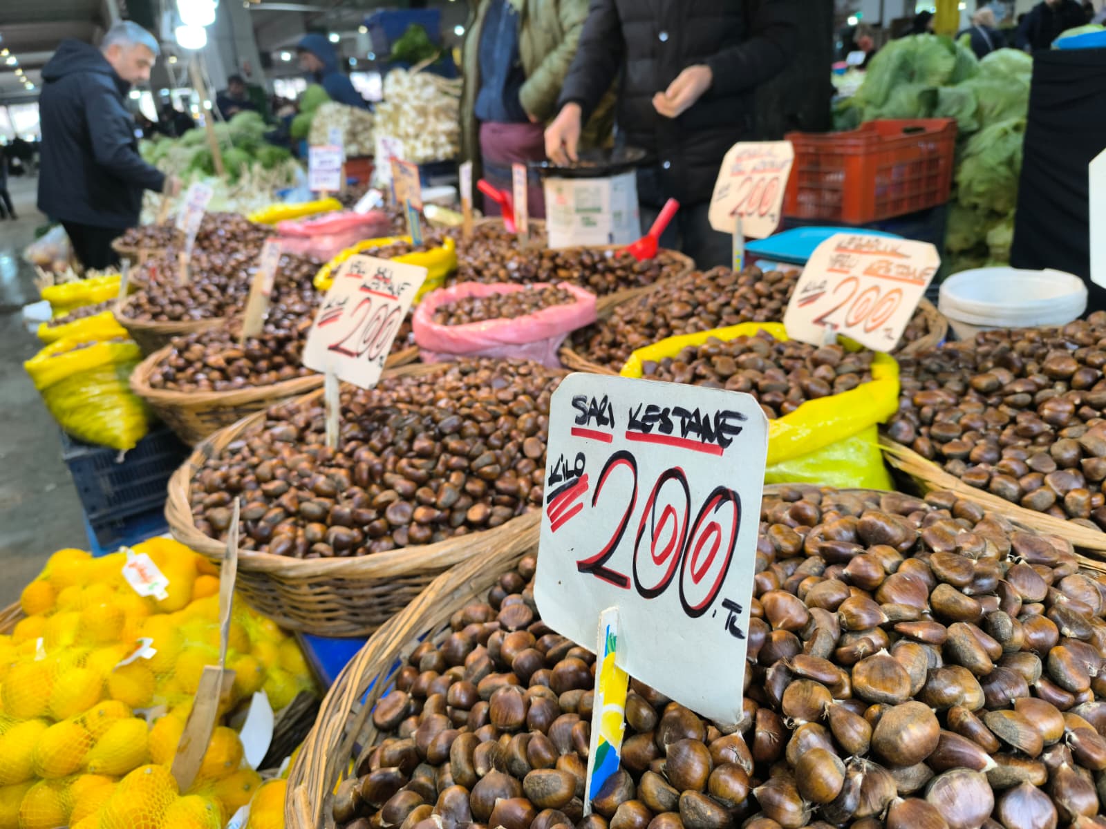 Whatsapp Image 2026 01 10 At 11.21.02