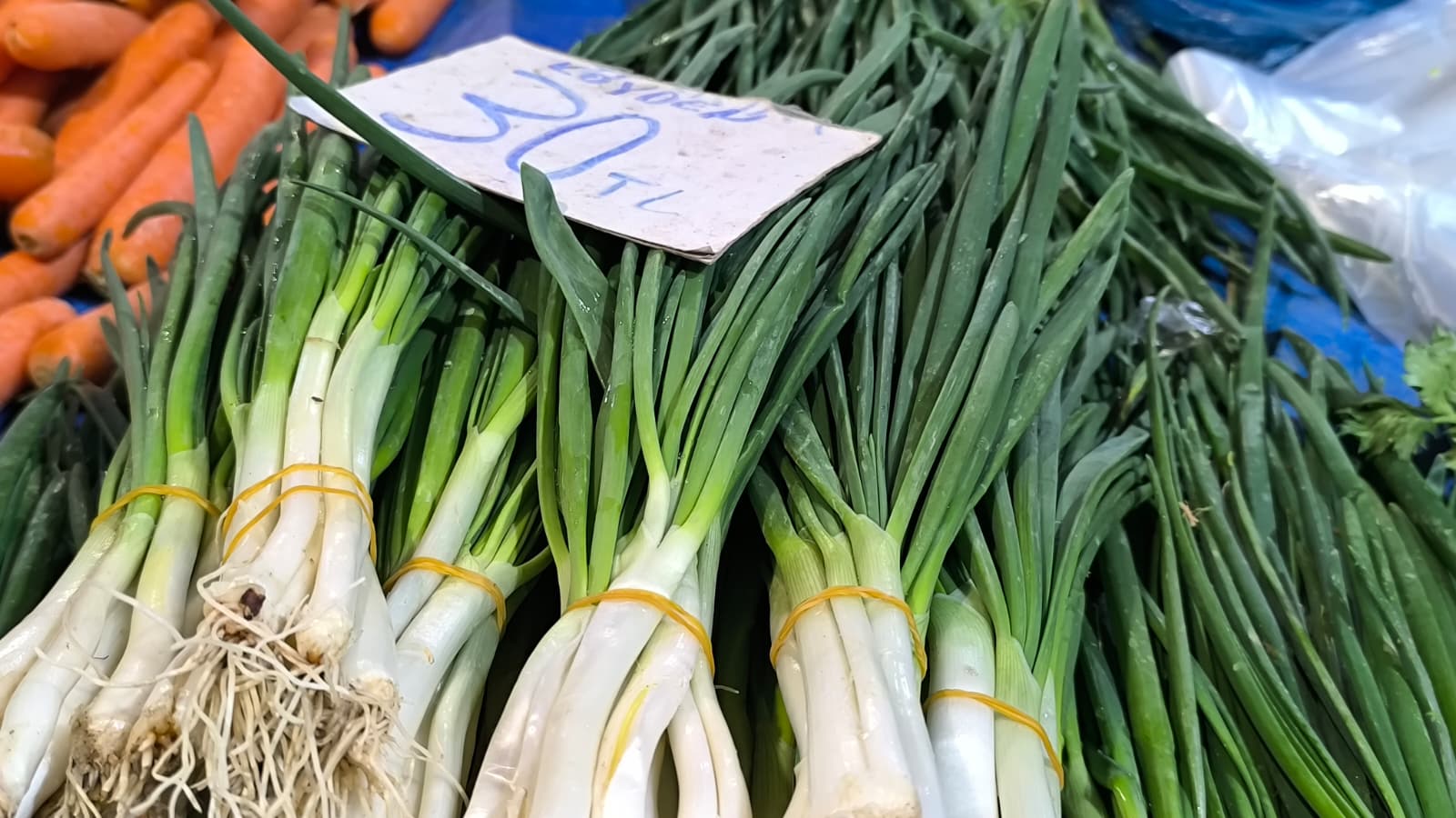 Whatsapp Image 2026 01 10 At 11.21.09 (2)