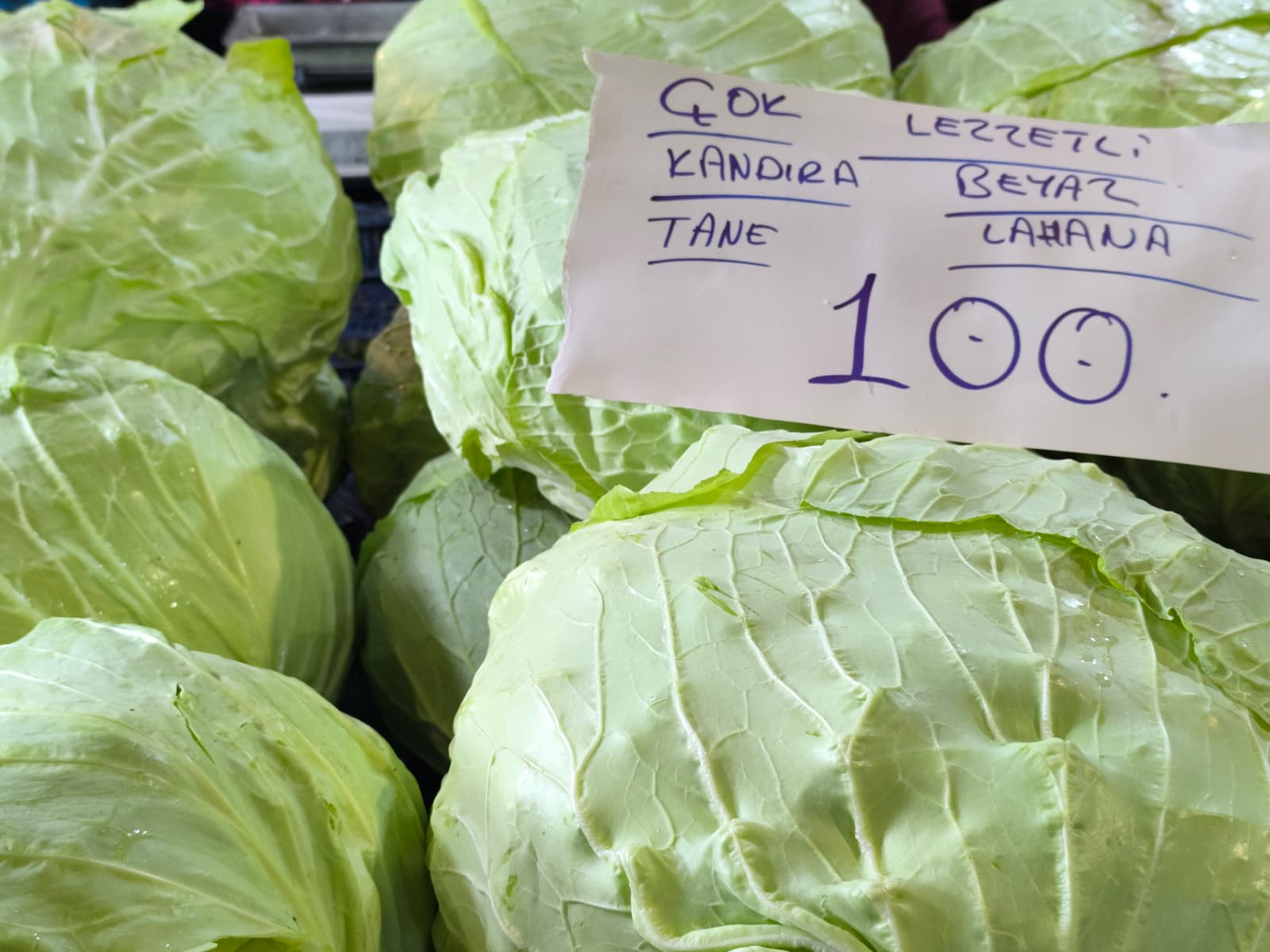 Whatsapp Image 2026 01 10 At 11.21.09