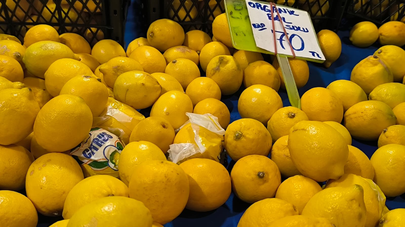 Whatsapp Image 2026 01 10 At 11.21.10