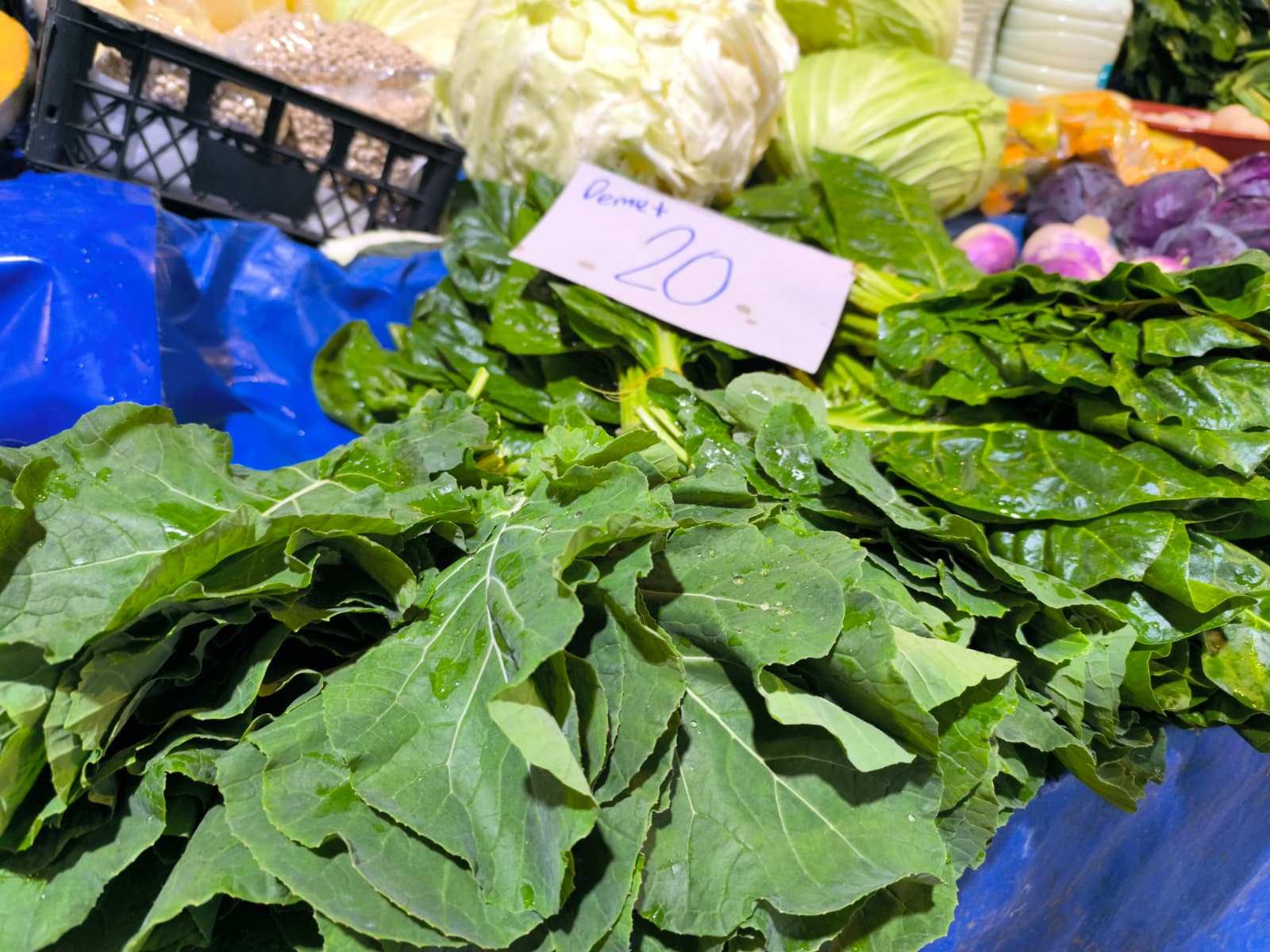 Whatsapp Image 2026 01 10 At 11.21.14