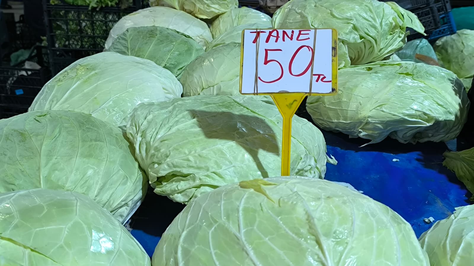 Whatsapp Image 2026 01 10 At 11.21.15 (1)