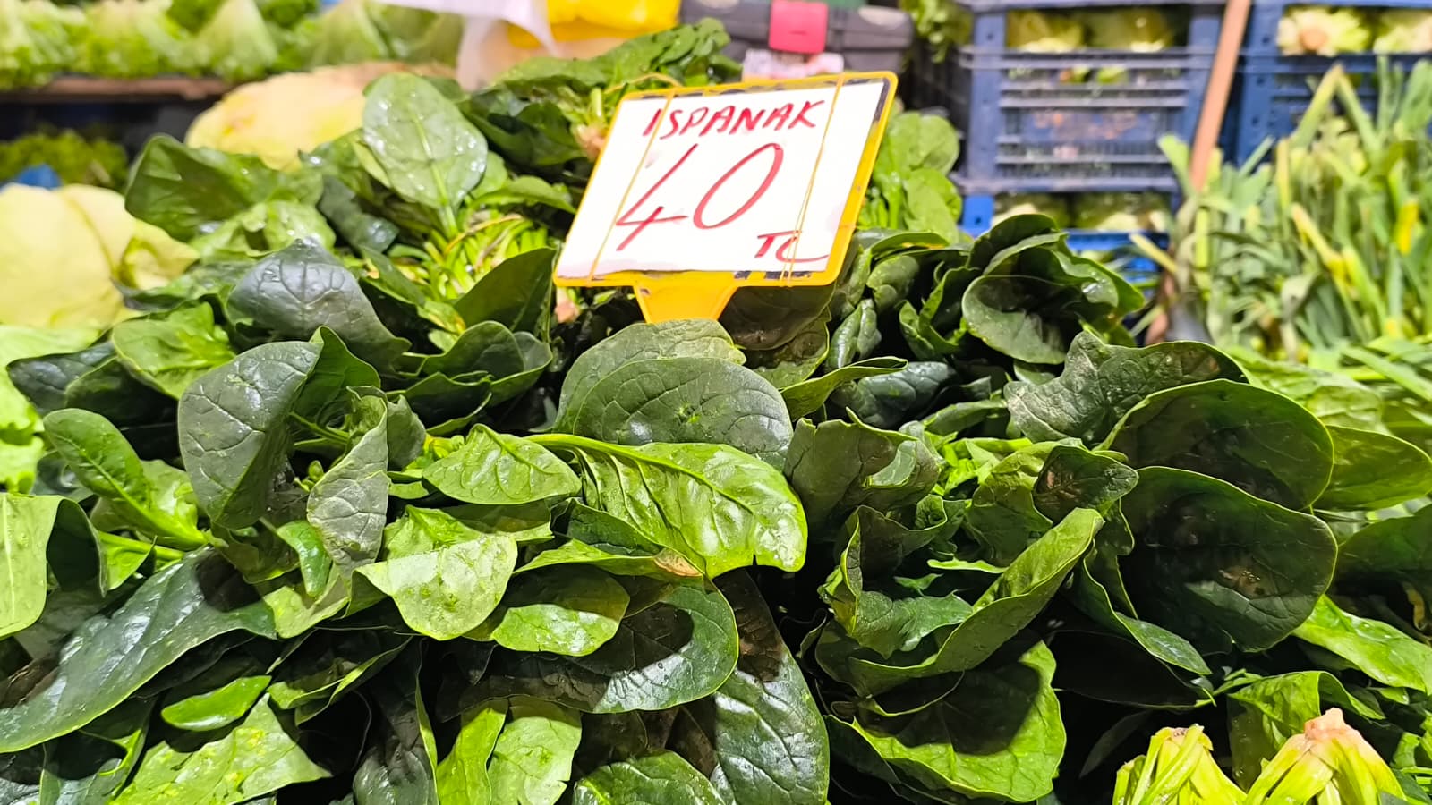 Whatsapp Image 2026 01 10 At 11.21.15 (3)