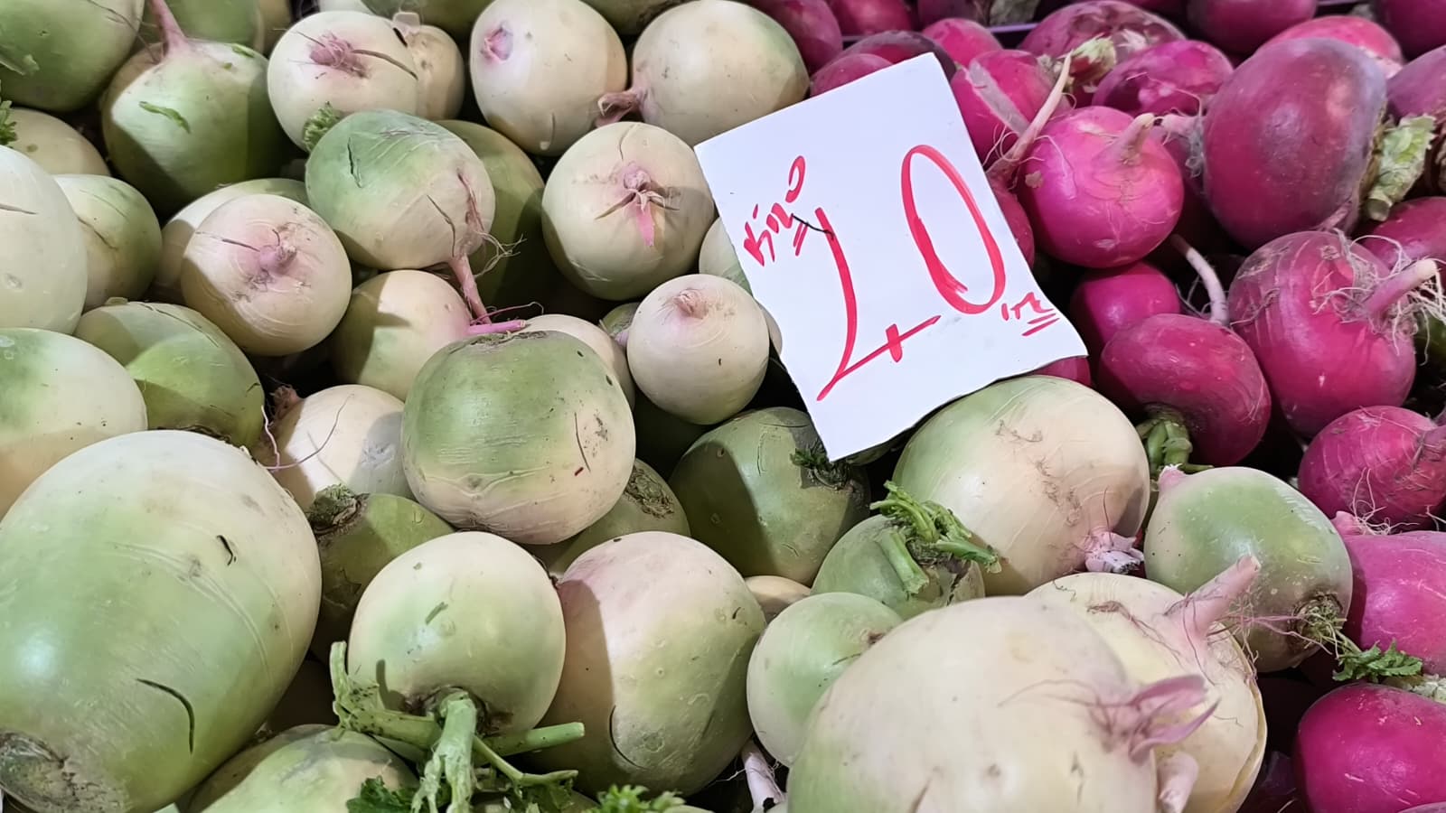 Whatsapp Image 2026 01 10 At 11.21.16