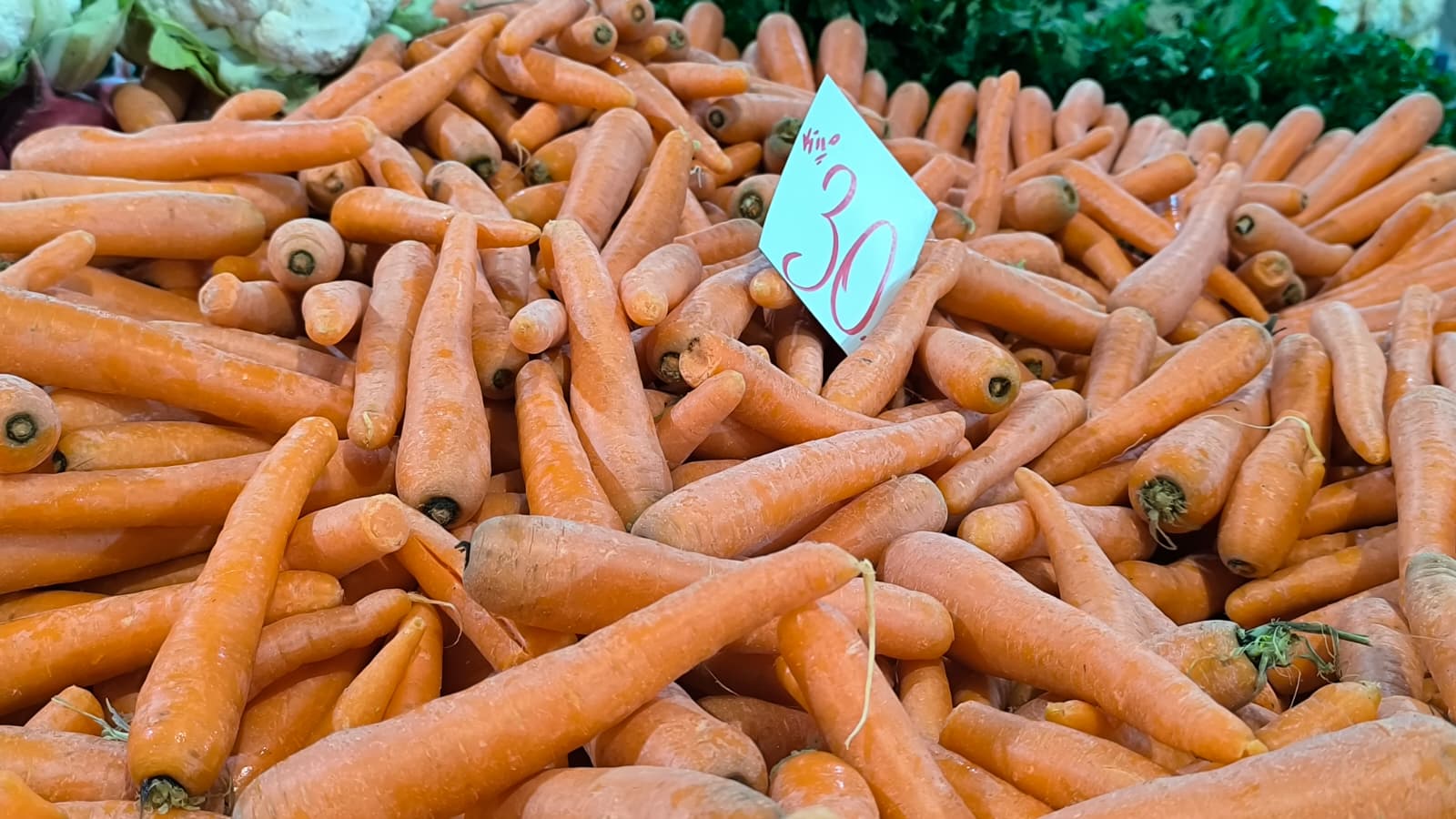 Whatsapp Image 2026 01 10 At 11.21.17