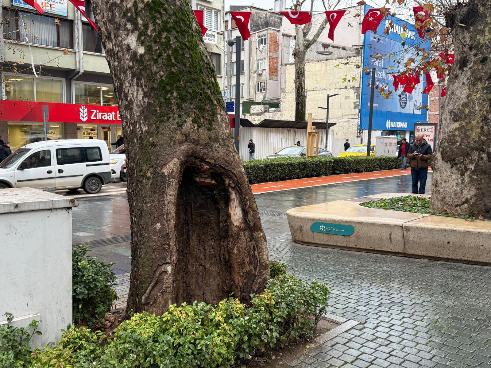 Whatsapp Image 2026 01 12 At 6.35.59 Pm