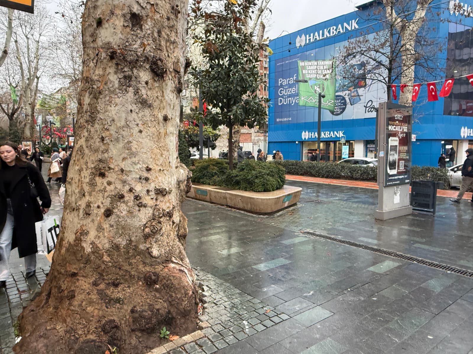 Whatsapp Image 2026 01 12 At 6.36.04 Pm