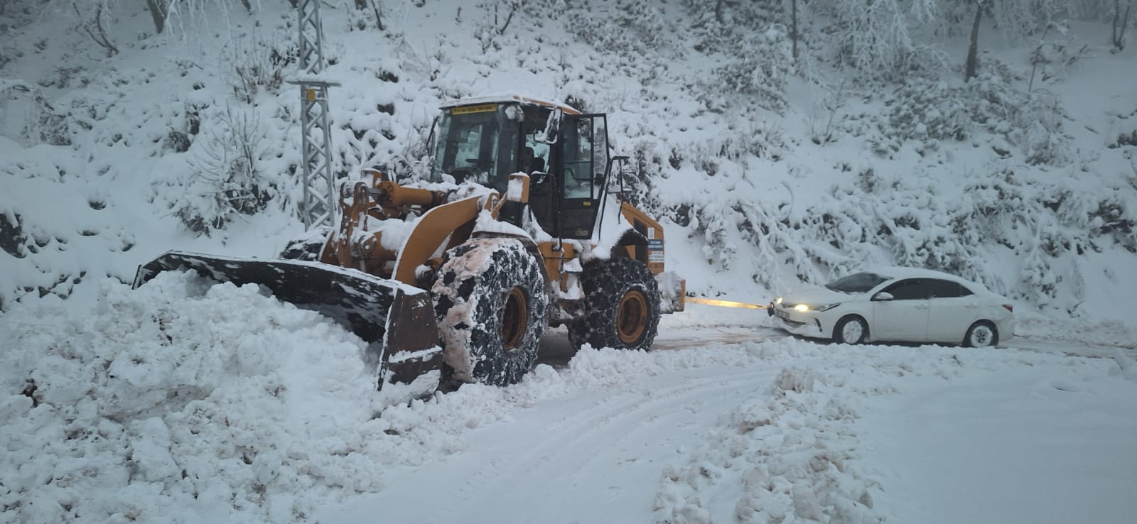 Whatsapp Image 2026 01 13 At 09.06.48