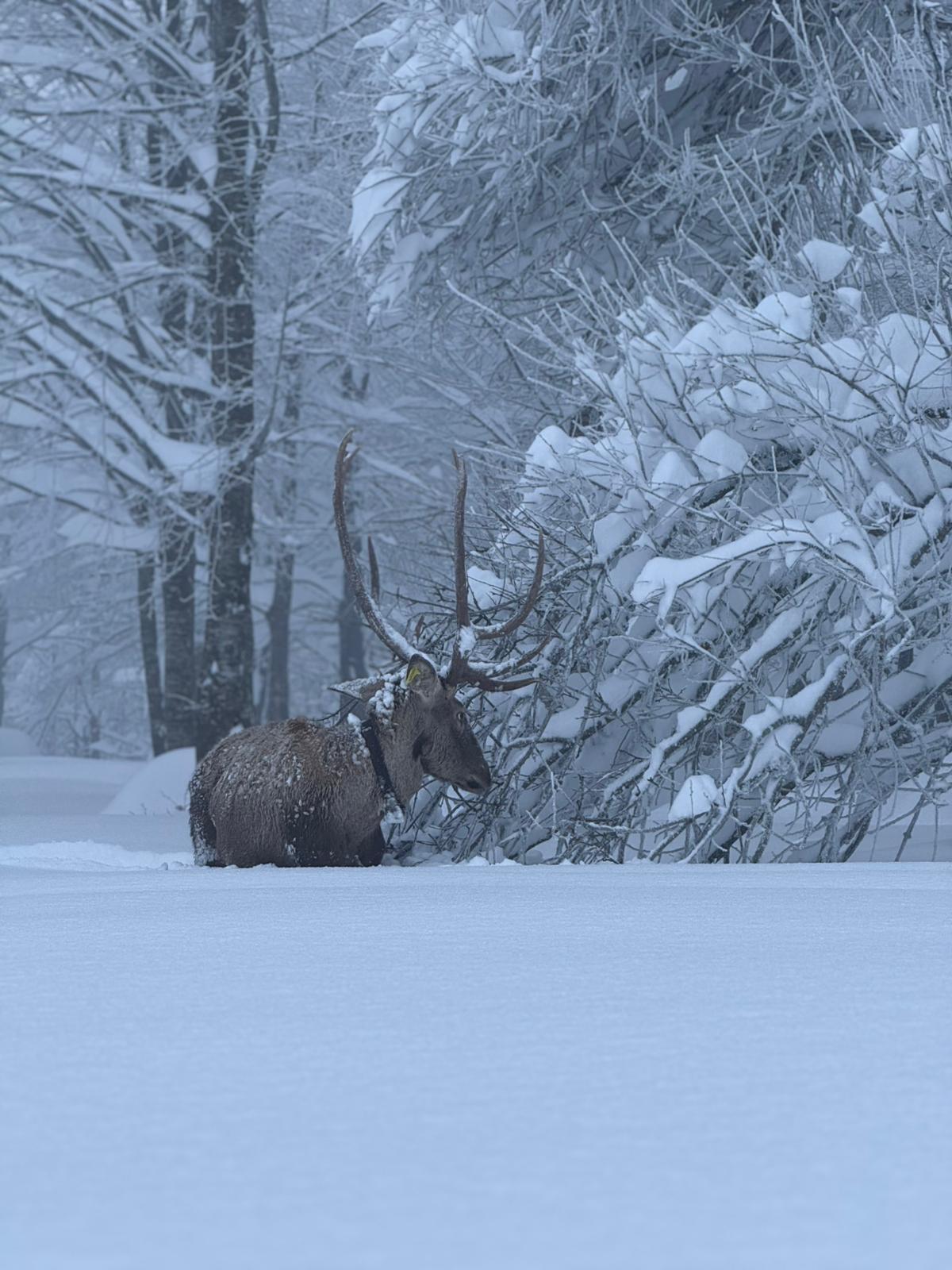 Whatsapp Image 2026 01 13 At 11.38.59 (1)