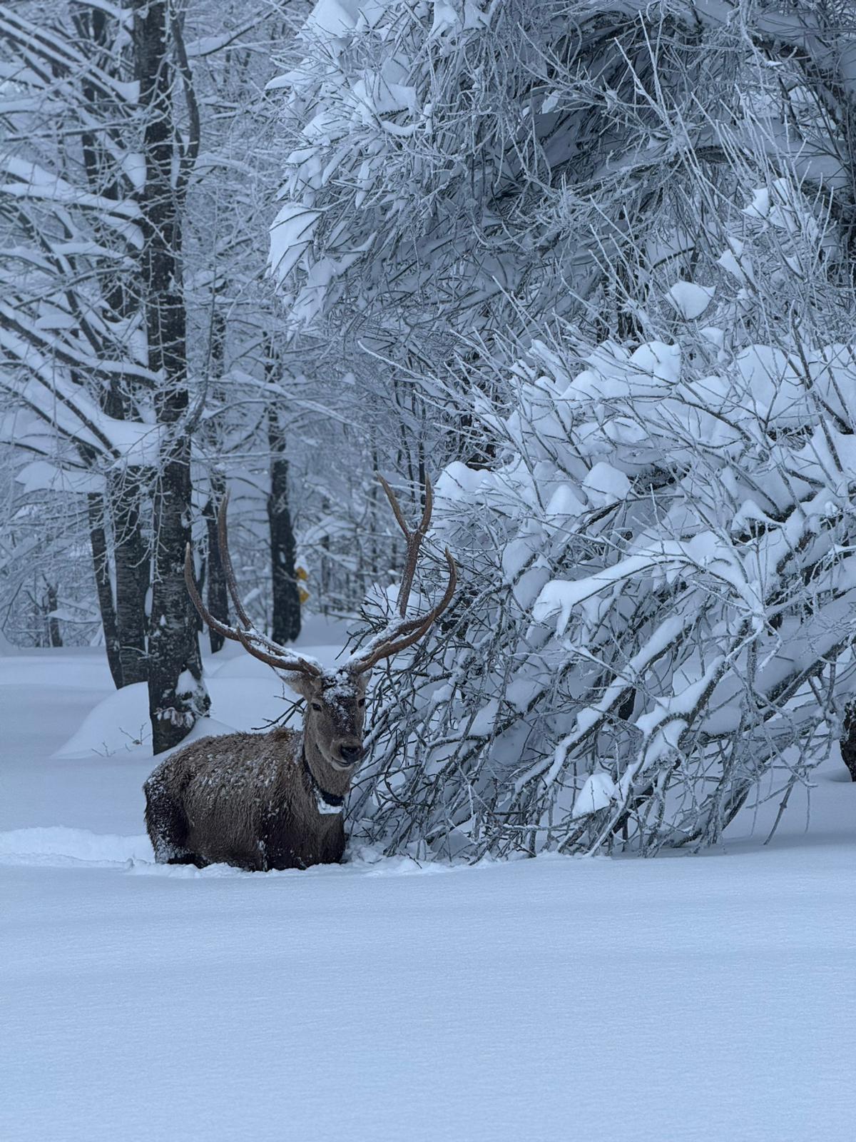 Whatsapp Image 2026 01 13 At 11.39.00 (1)