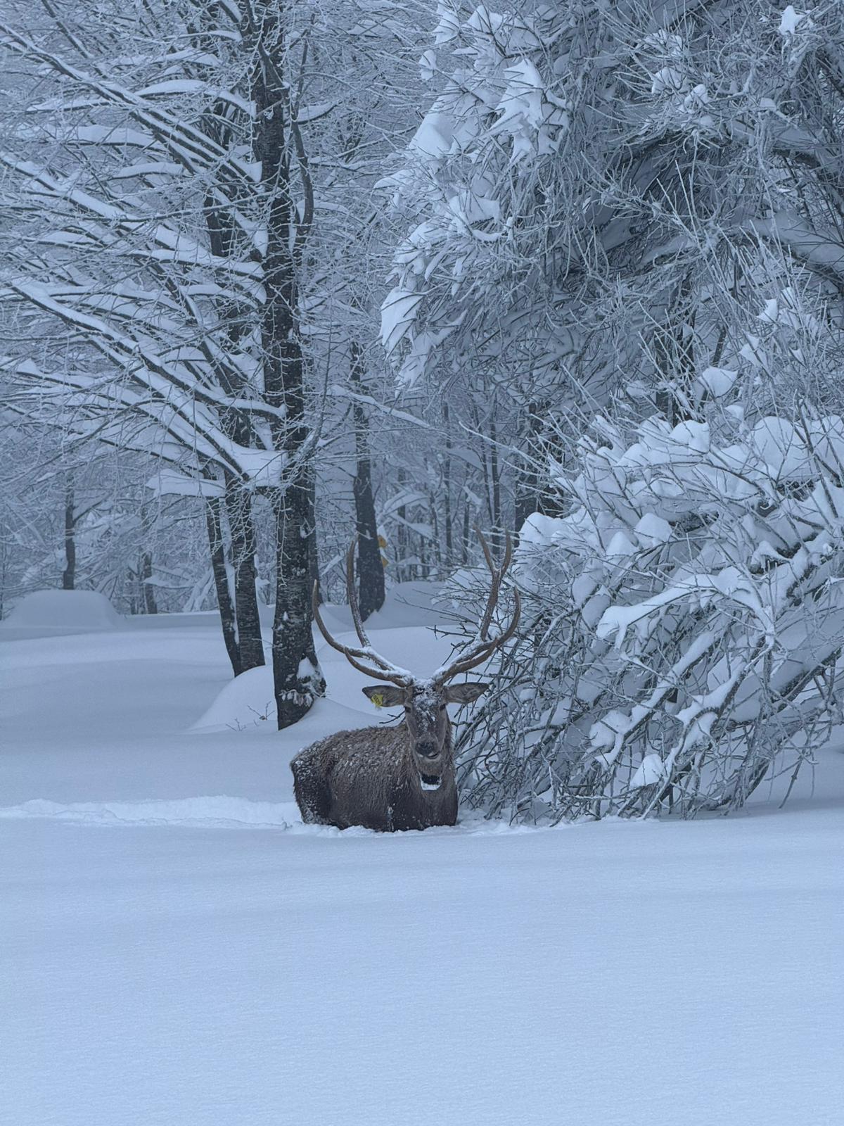 Whatsapp Image 2026 01 13 At 11.39.00