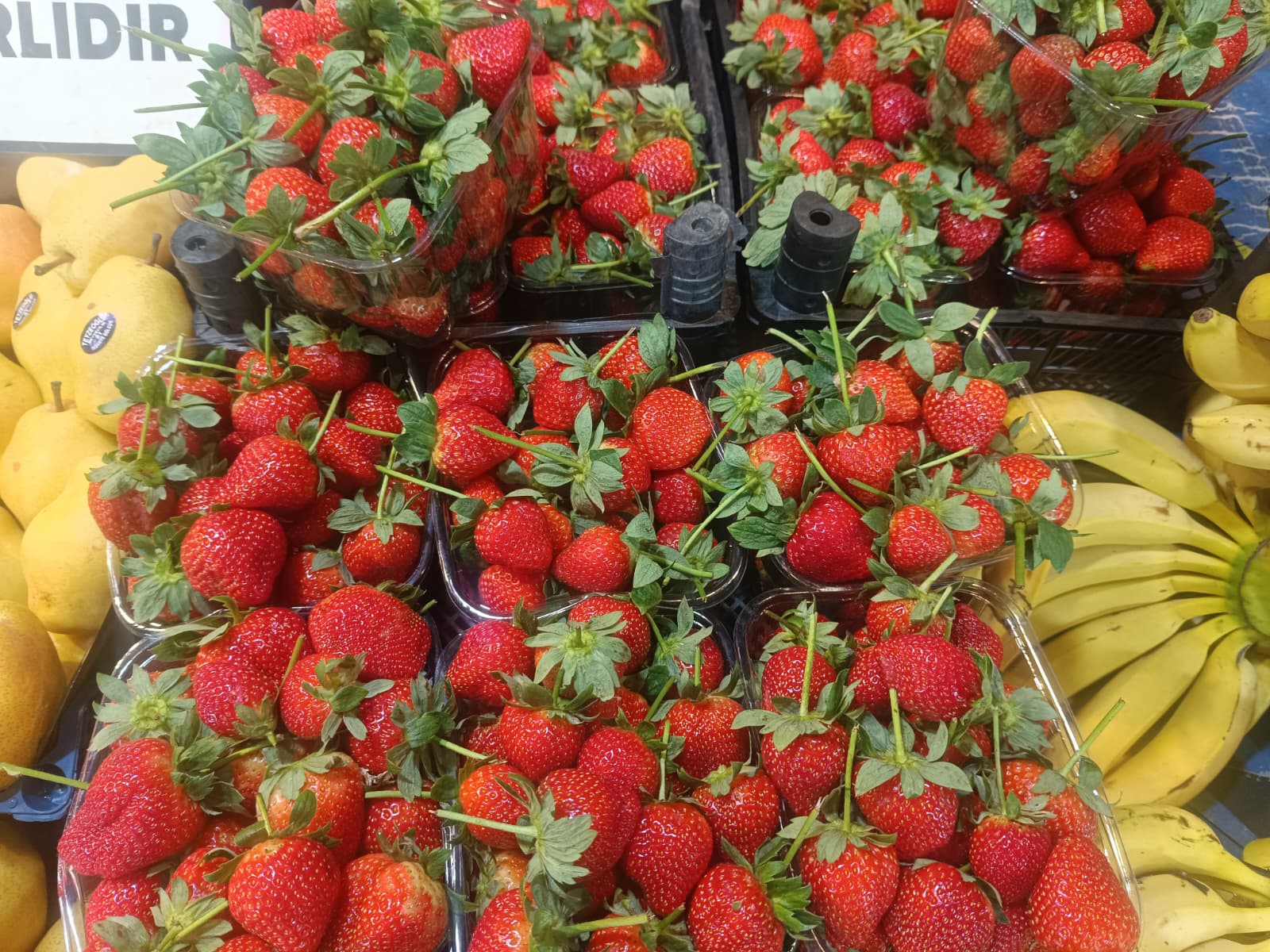 Whatsapp Image 2026 01 15 At 10.02.48 Am