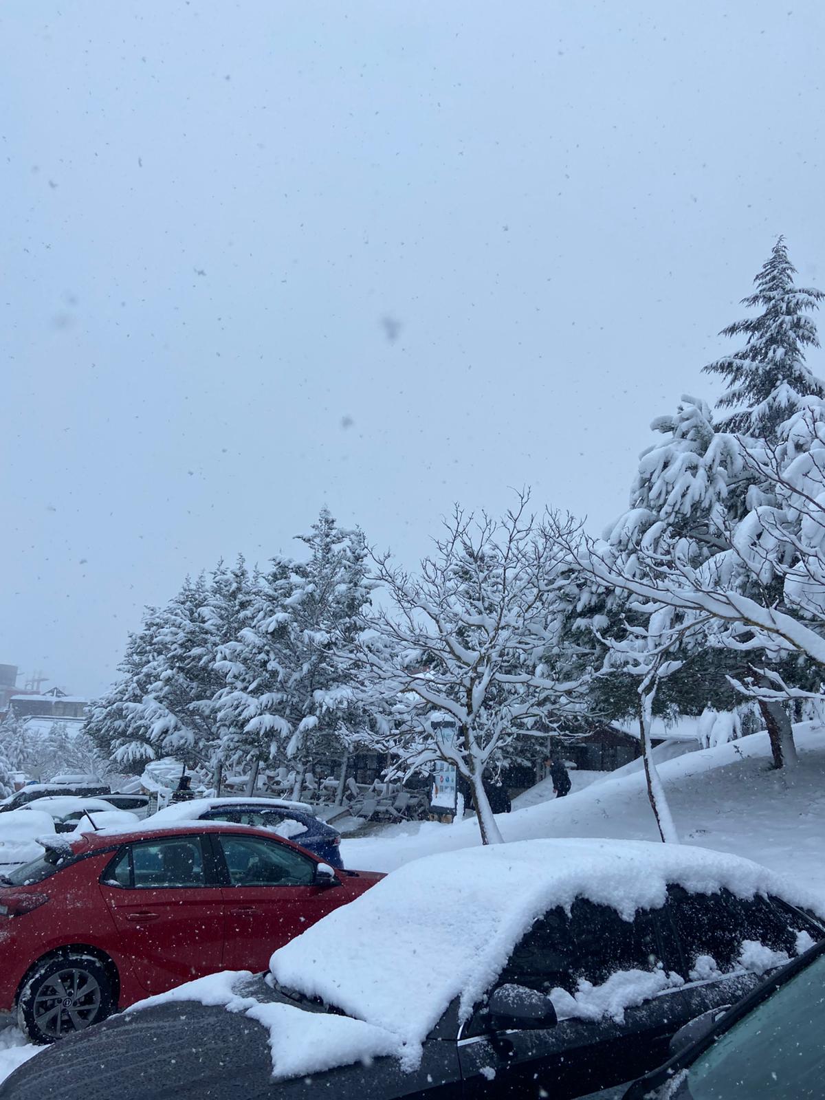 Whatsapp Image 2026 01 19 At 12.07.21 (1)