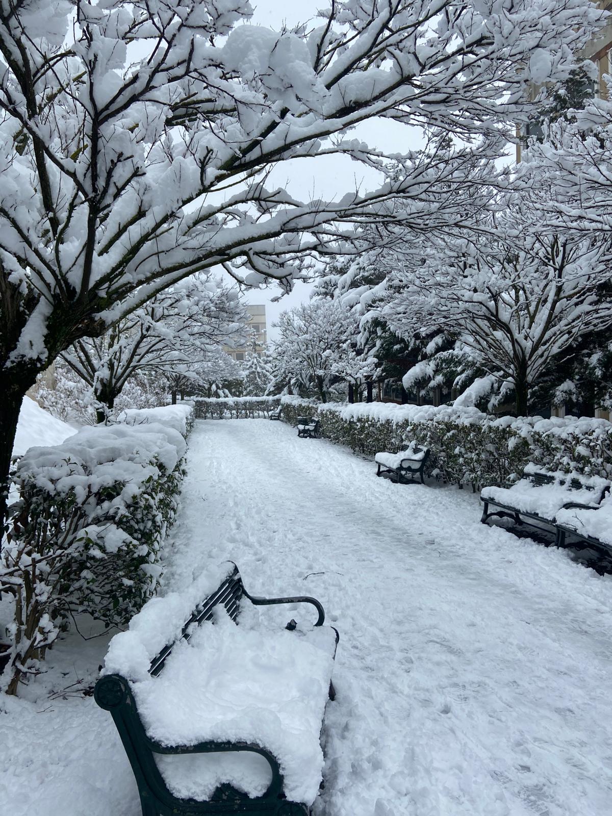 Whatsapp Image 2026 01 19 At 12.37.39 (1)