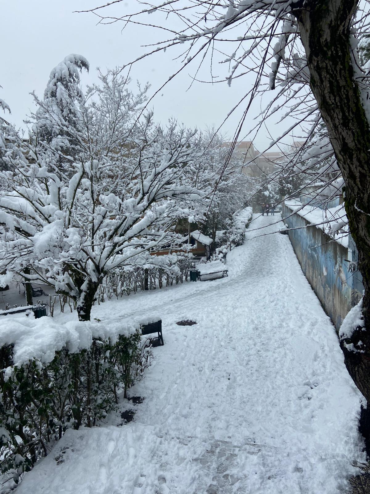 Whatsapp Image 2026 01 19 At 12.37.39