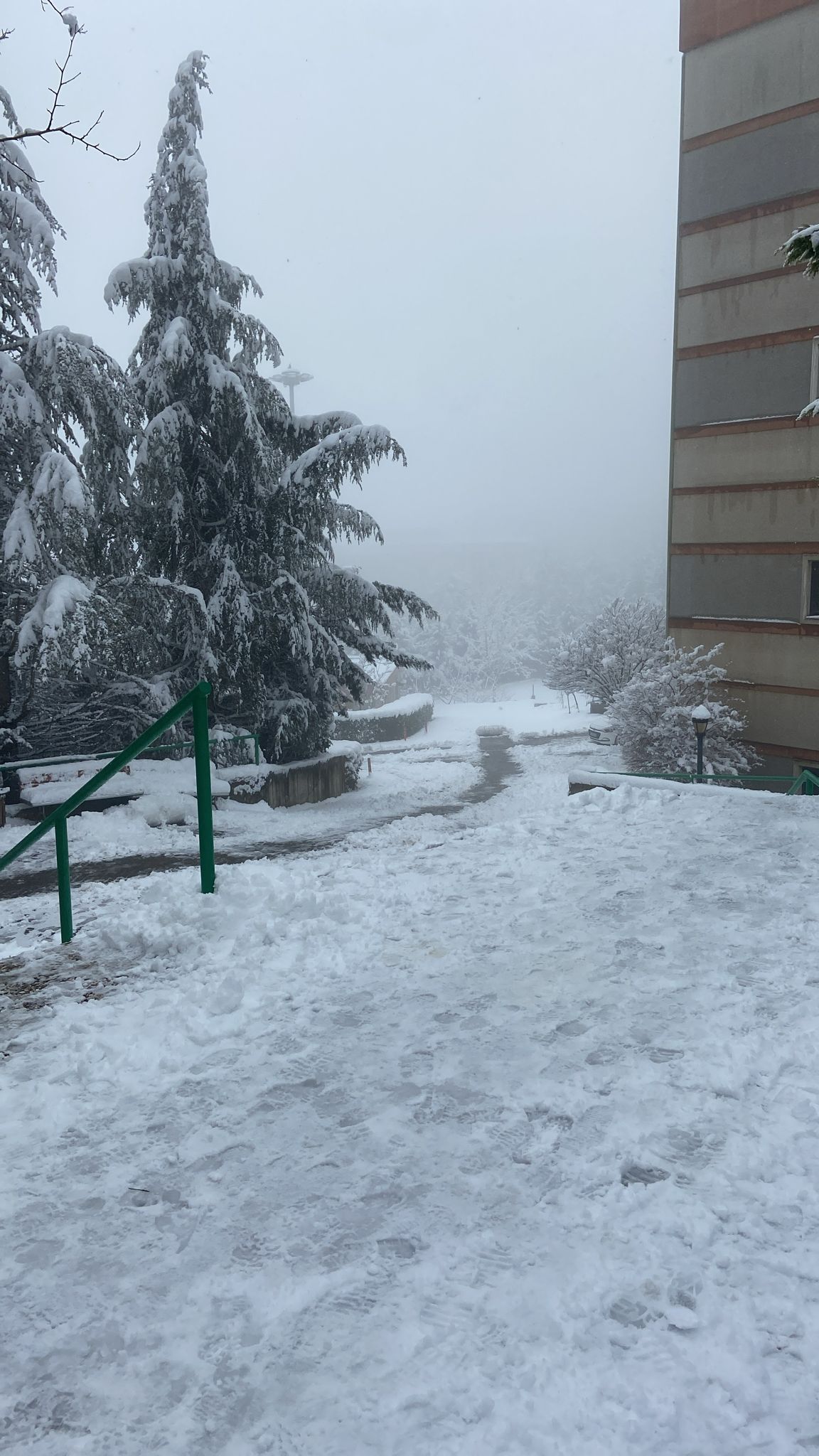 Whatsapp Image 2026 01 19 At 12.38.23