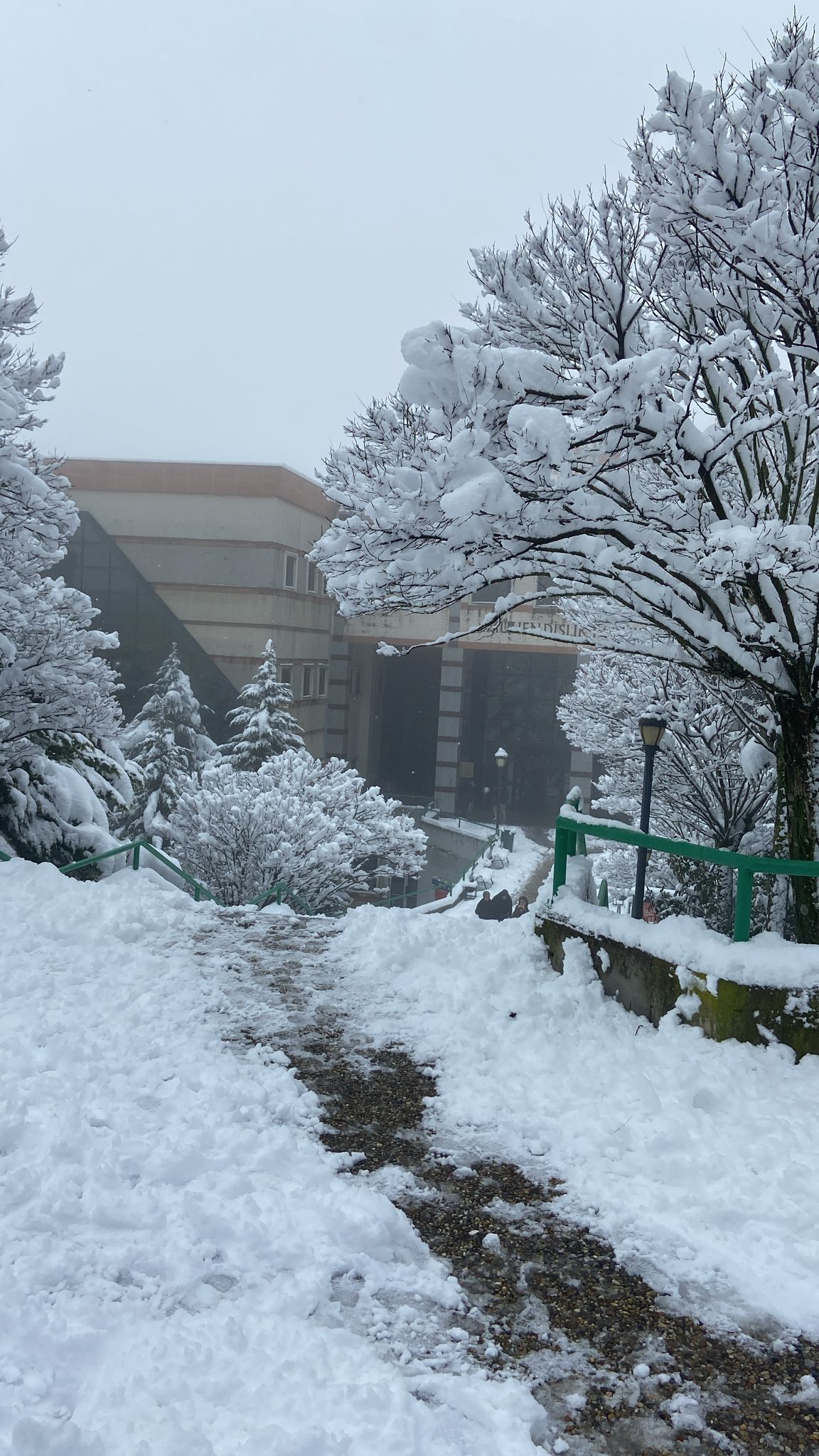 Whatsapp Image 2026 01 19 At 12.39.24