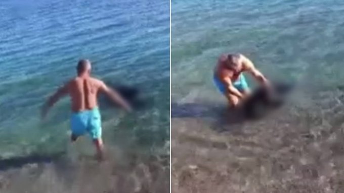 Whatsapp Image 2026 01 19 At 20.34.18