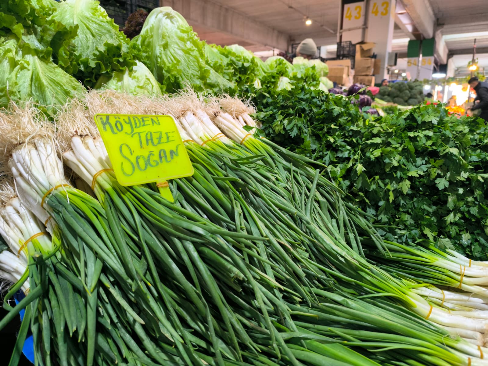 Whatsapp Image 2026 01 22 At 10.12.58