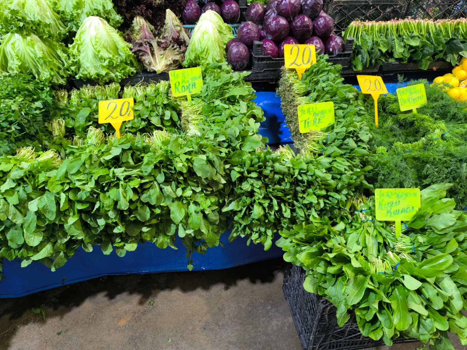 Whatsapp Image 2026 01 22 At 10.13.00