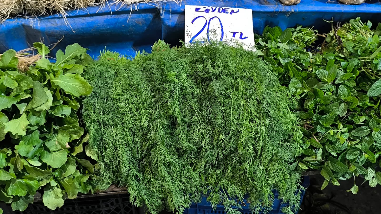 Whatsapp Image 2026 01 22 At 10.13.13