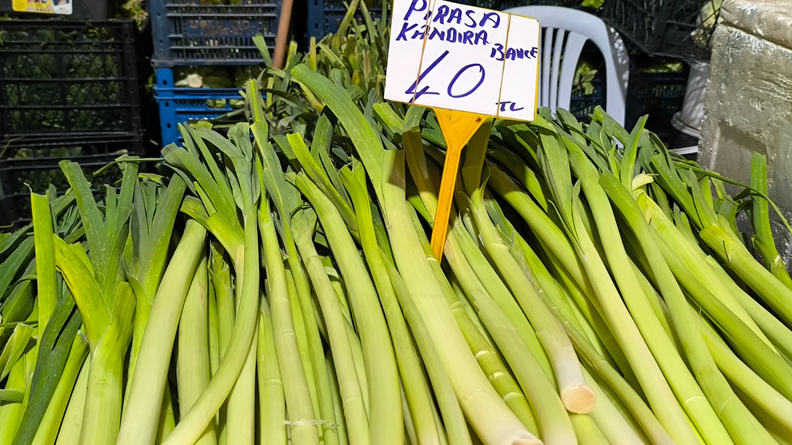 Whatsapp Image 2026 01 22 At 10.13.14