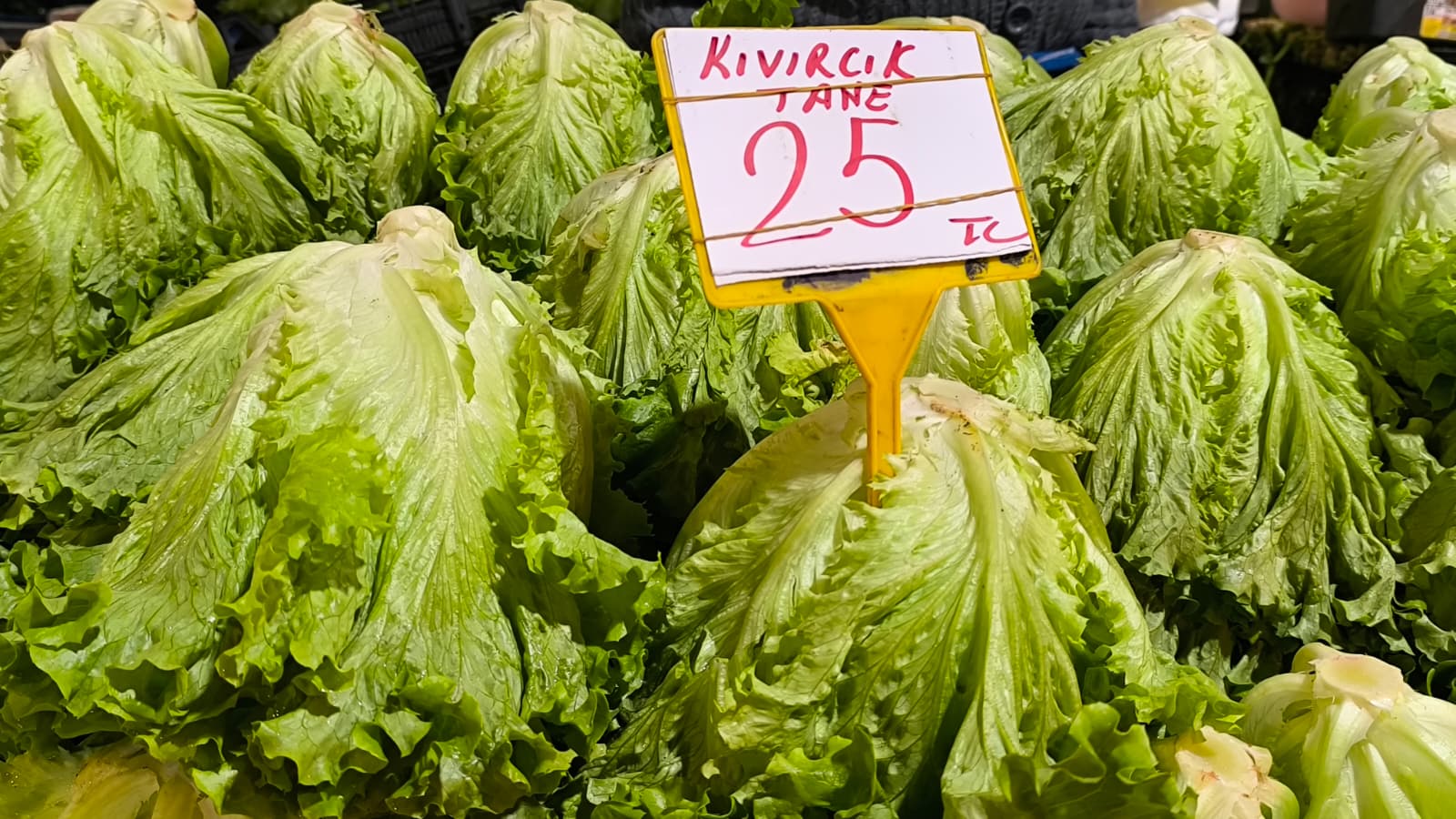 Whatsapp Image 2026 01 22 At 10.13.21