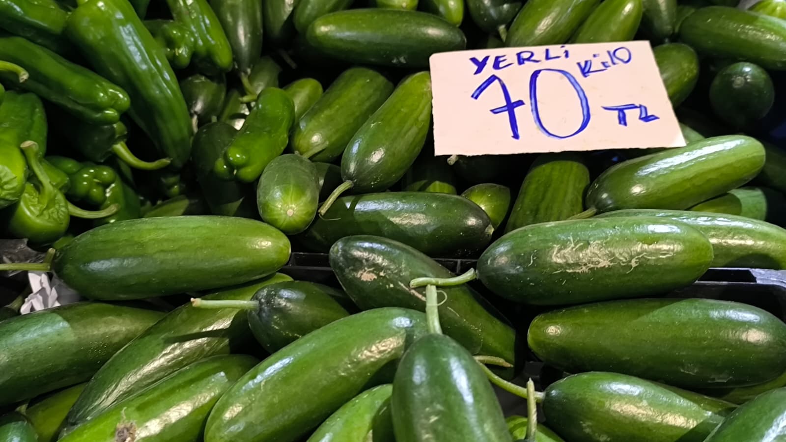 Whatsapp Image 2026 01 22 At 10.13.27