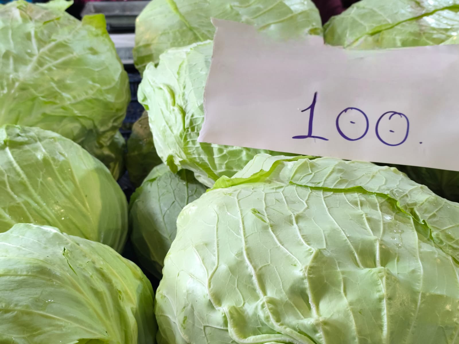 Whatsapp Image 2026 01 22 At 10.13.28