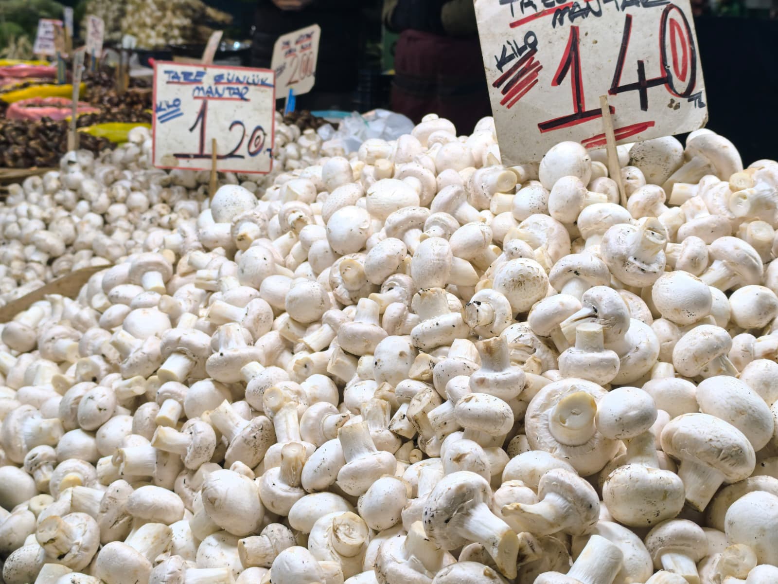 Whatsapp Image 2026 01 22 At 10.13.29