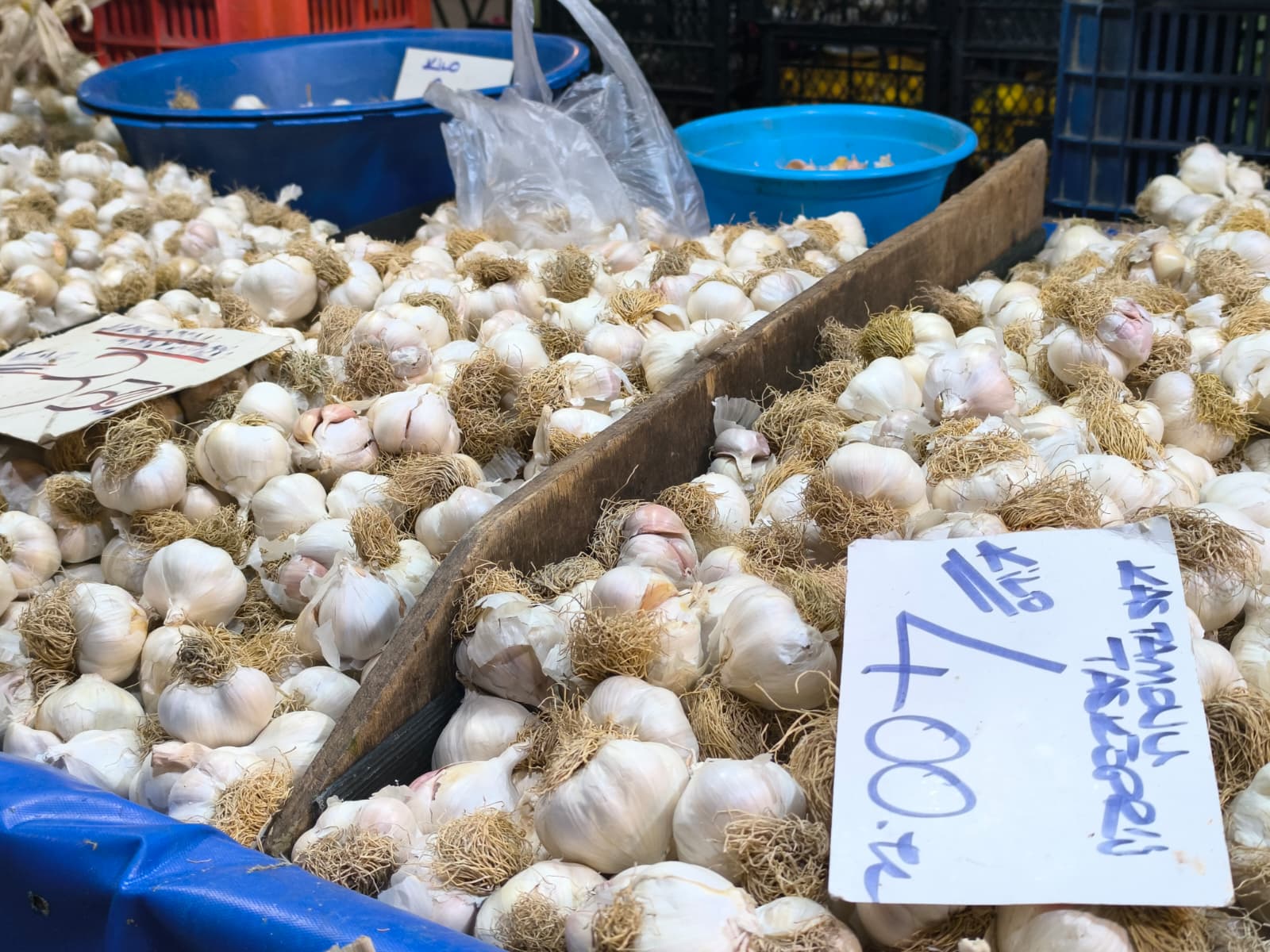 Whatsapp Image 2026 01 22 At 10.13.36 (1)