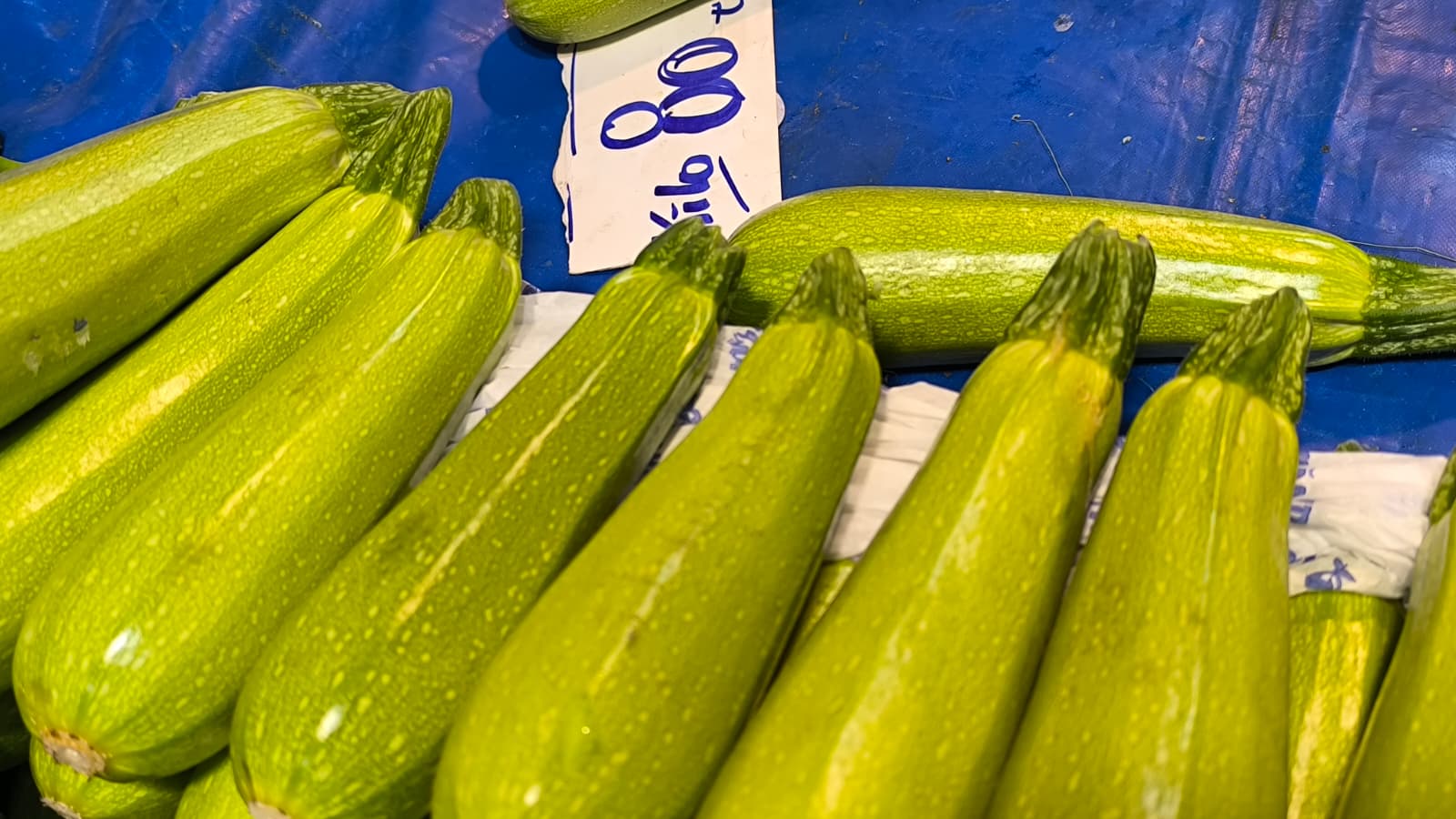 Whatsapp Image 2026 01 22 At 10.13.38 (1)