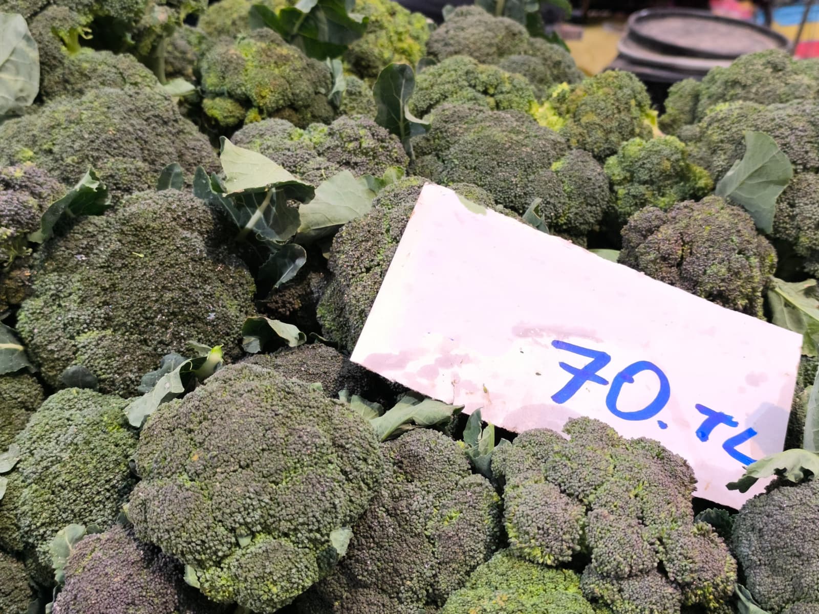 Whatsapp Image 2026 01 22 At 10.13.38