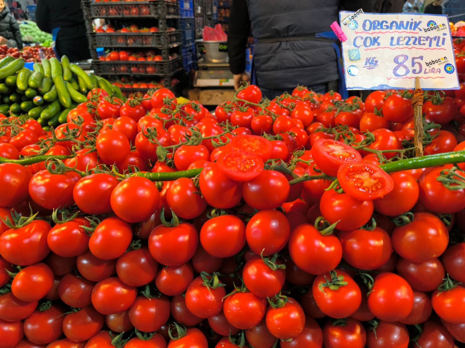 Whatsapp Image 2026 01 22 At 10.13.41