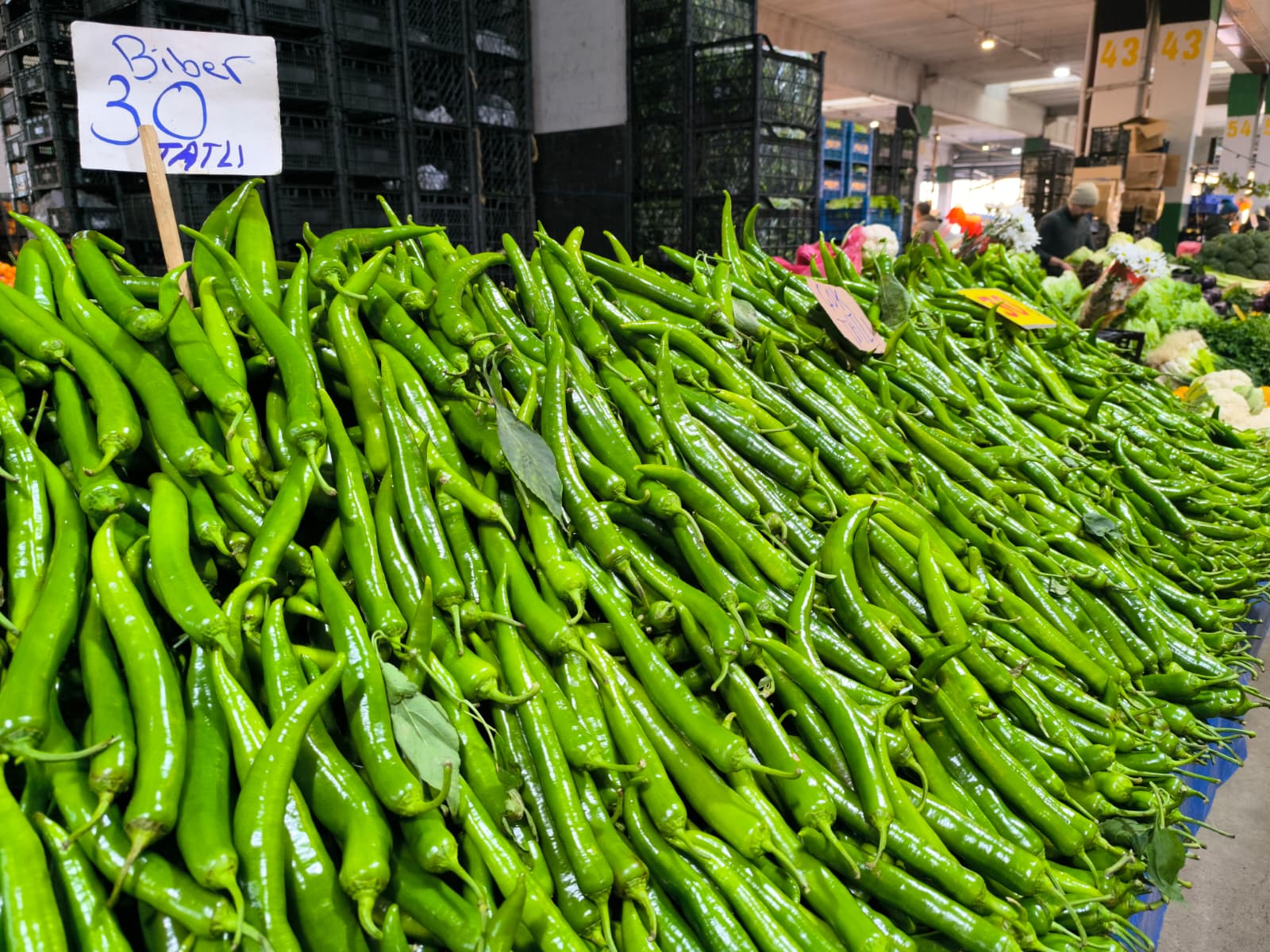 Whatsapp Image 2026 01 22 At 10.13.47