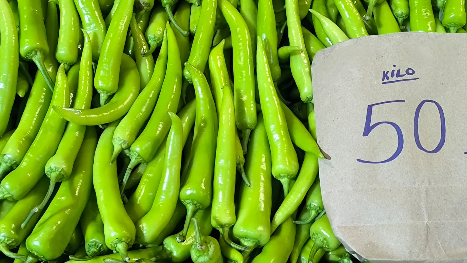 Whatsapp Image 2026 01 22 At 10.13.49