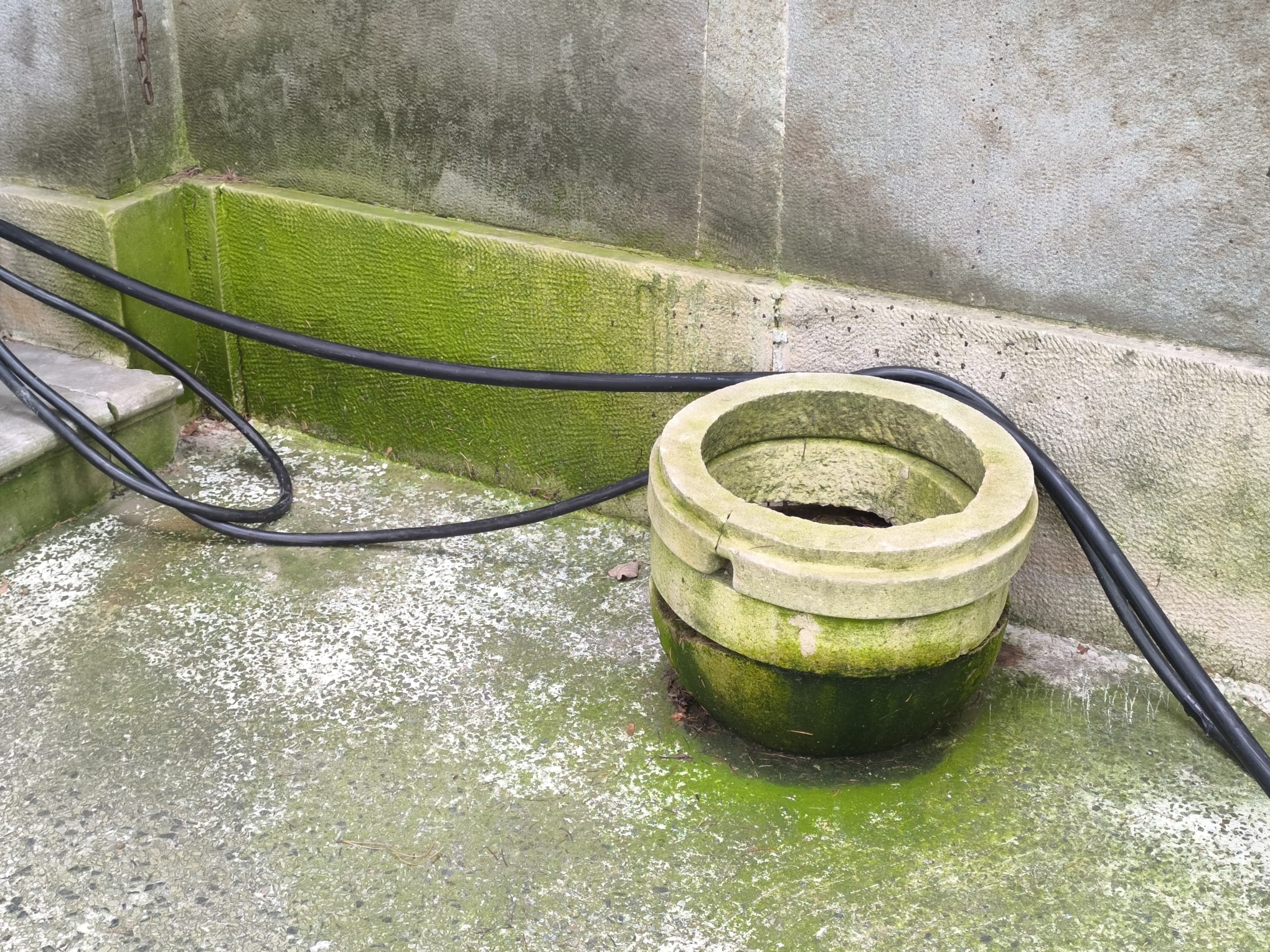 Whatsapp Image 2026 01 22 At 12.46.22