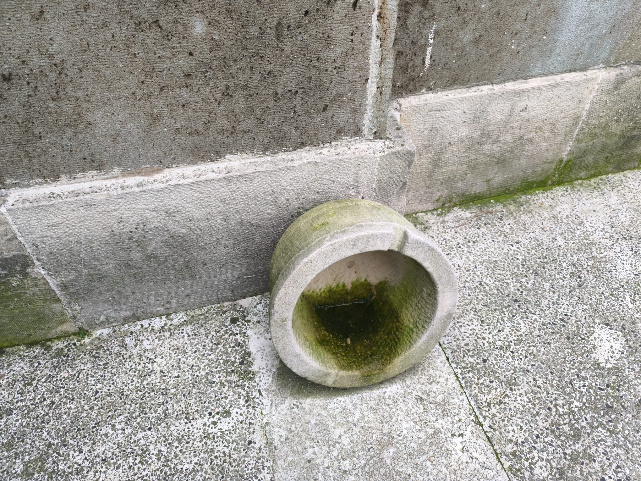 Whatsapp Image 2026 01 22 At 12.46.31