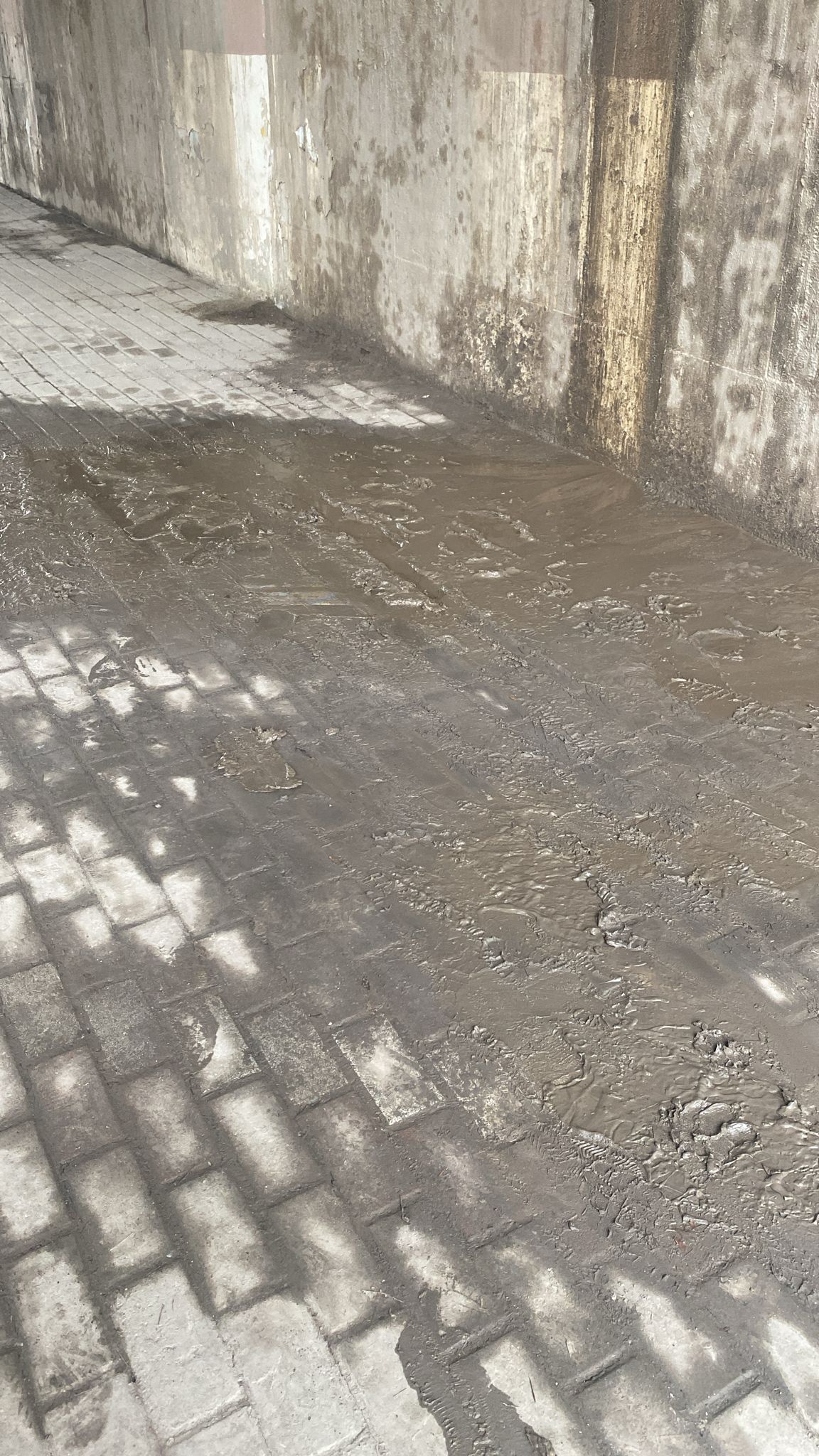 Whatsapp Image 2026 01 23 At 11.54.09